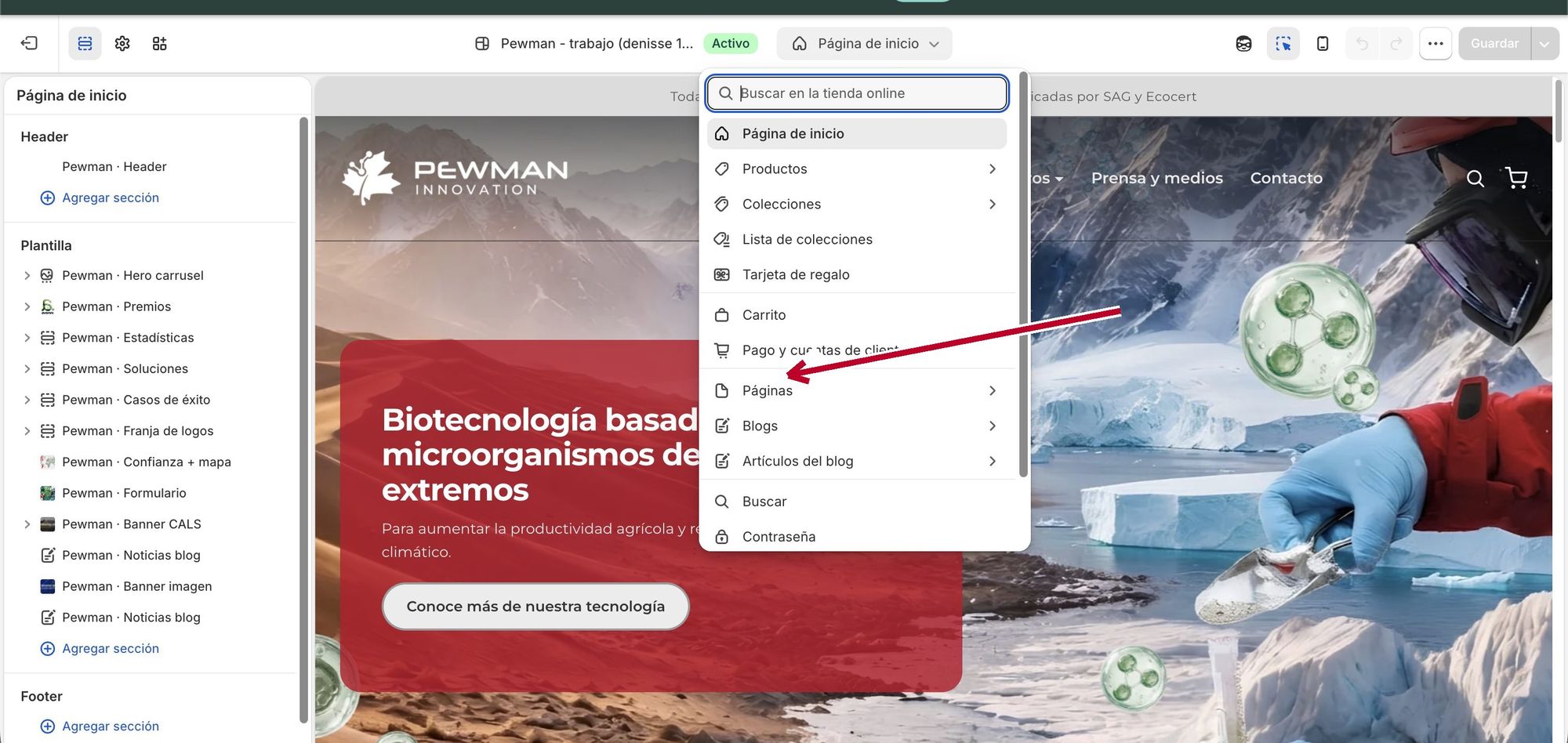 Selector de páginas del editor abierto